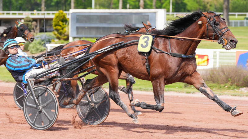 idaodetillard-une-260418-69e3af4d0a3f5434221281