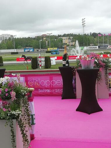 IMG-20190525-WA0044_resized IMG-20190525-WA0044_resized