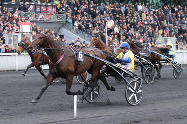 Indigious im Prix du Luxembourg