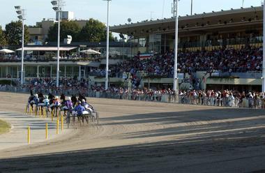 Ippodromo-Arcoveggio_large