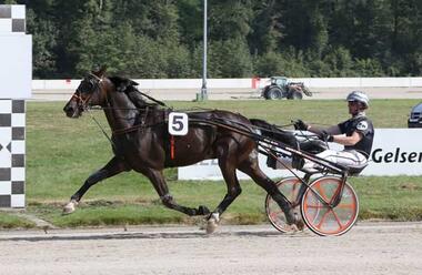 Jaguar Broline gewinnt den LAuf zur Sommer-CHampions-Serie