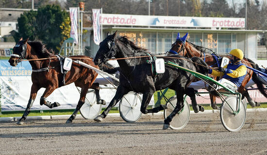Jan van Dooyeweerd und Imoko Deux Foto Marius Schwarz Jan van Dooyeweerd und Imoko Deux Foto Marius Schwarz