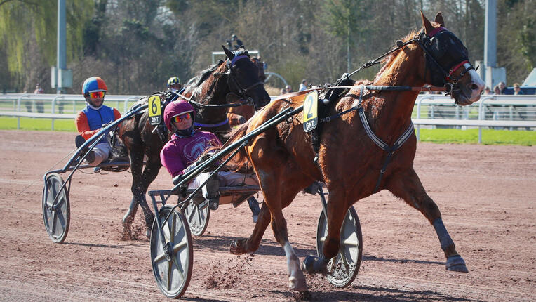 jentildieschoot-scoop-040326-69a8525a00677339064464