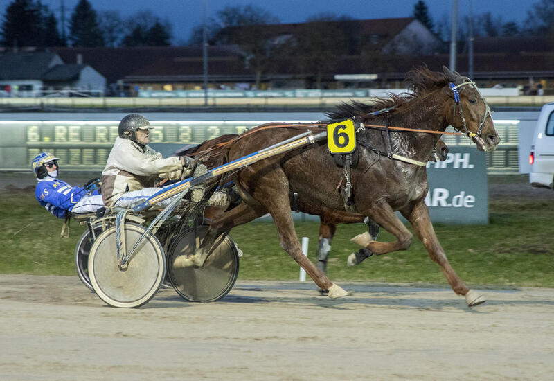 Kador du Choquel_Z301125F