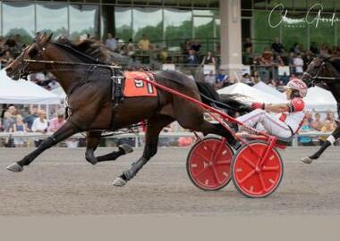 Kate's+Massive+winning+Friday's+Currier+&+Ives+at+The+Meadows