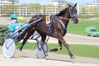 Key Largo mit Hans-Jürgen von Holdt in Berlin-Mariendorf