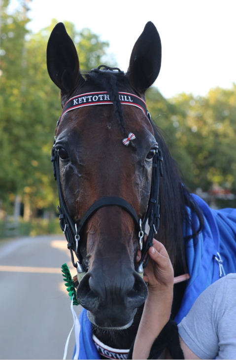 Keytothehill Kopf Keytothehill Kopf