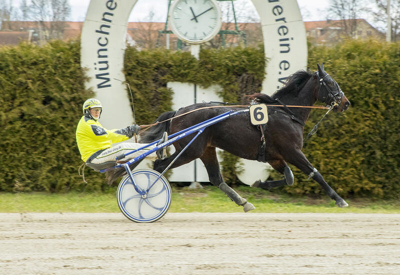 King des Ves_Z201125F