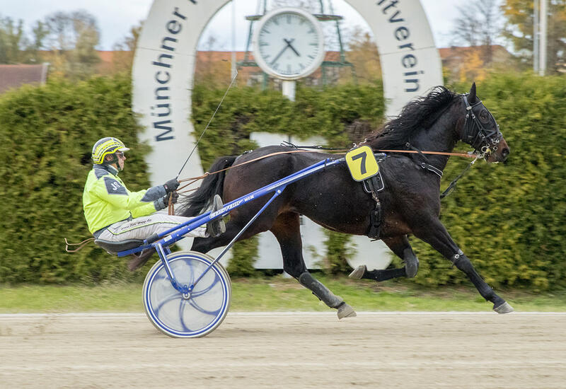 King des Ves_Z261025F