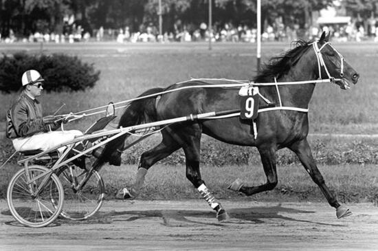 Kwiet Manzanares Kwiet Manzanares