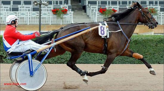Kwiet mit Pferd heute Kwiet mit Pferd heute