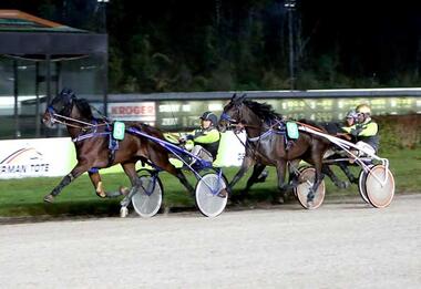 Laskari Winterfavorit