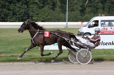 Lesperanza siegt im Stuten St. Leger 2016