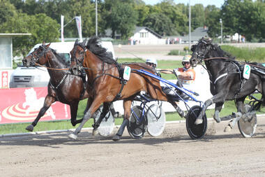 Lighten up Today und Michael Nimczyk