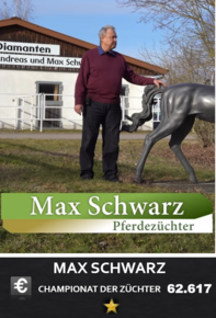 M. Schwarz M. Schwarz