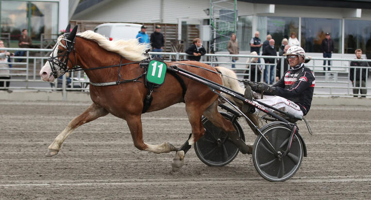 m.p.atleartikelbild-1280