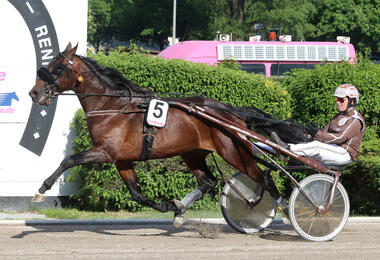 Mac Smily gewinnt Adbell-Toddington-Rennen 2017