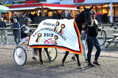 Major-Ass-Siebert_large Major-Ass-Siebert_large