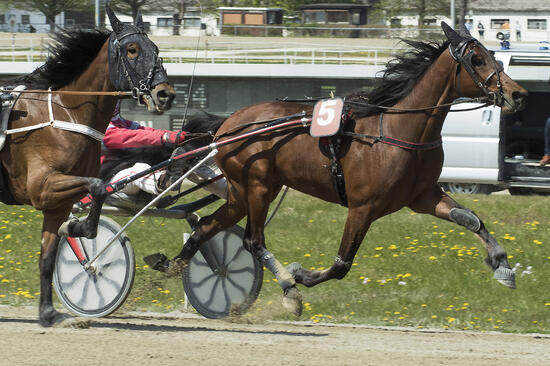 Marian_A280421Fabris Marian_A280421Fabris