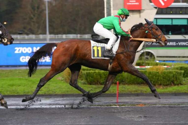 MD_00202795-063-scoopdyga_HIRONDELLE_DU_RIB