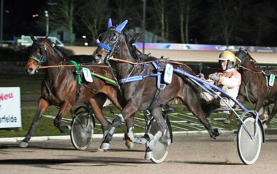 Michael Nimczyk und Prigana Foto Marius Schwarz Michael Nimczyk und Prigana Foto Marius Schwarz