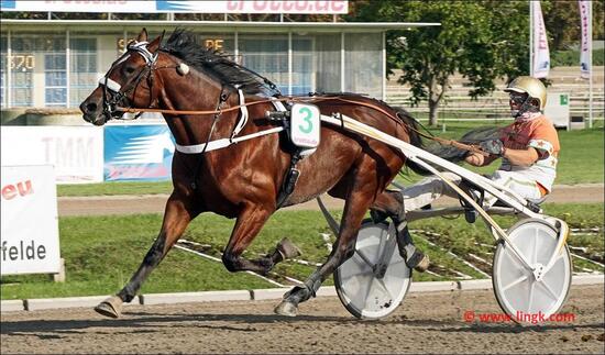 Michael Nimczyk und Straight Flush Michael Nimczyk und Straight Flush