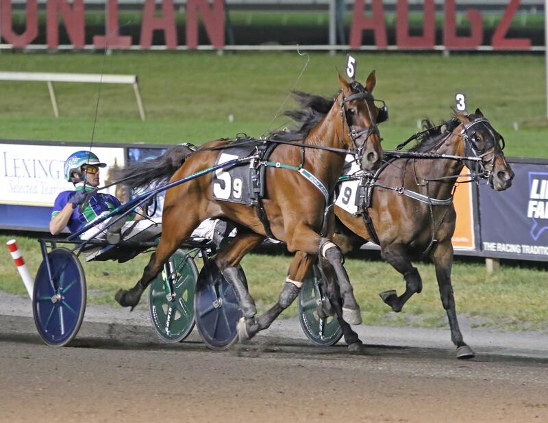 Miss Belmar Oaks 2 VL