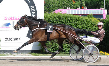 Miss Godiva gewinnt Adbell-Toddington-Rennen 2017