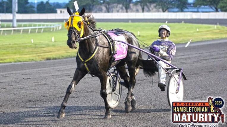 MMs_Dream_Meadowlands_Tully_071523.jpg_cropped-750x420