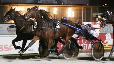 Montecore Mo - Einlauf