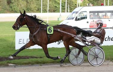 Nagama ist die Winterfavoritin 2017