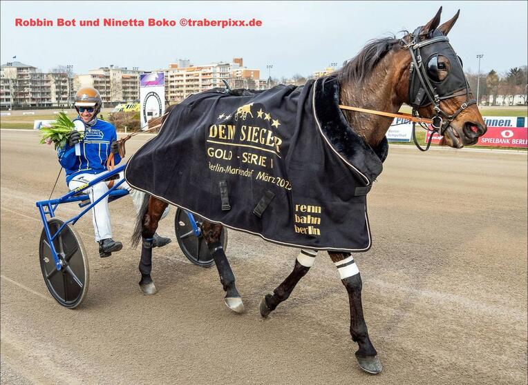 Ninetta 2