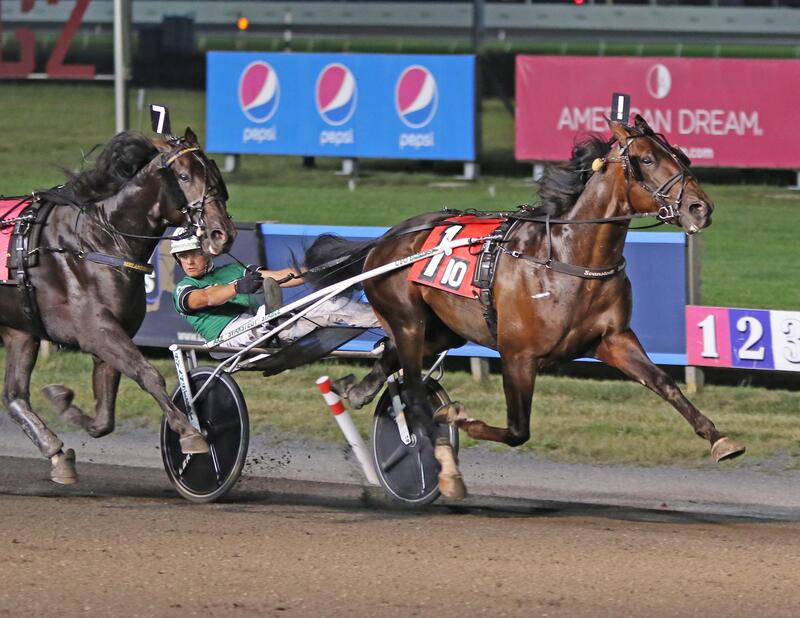 Nordic Catcher S Hambo 3 VL