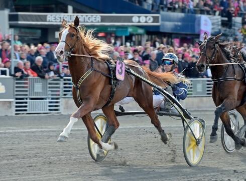 Norton-Commander-hade-uppvisning Norton-Commander-hade-uppvisning