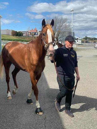 Norton-Pfleger_large Norton-Pfleger_large