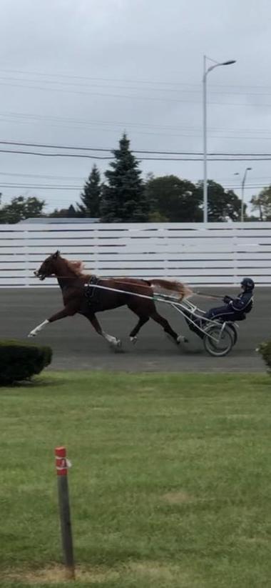 Norton-Training_large Norton-Training_large