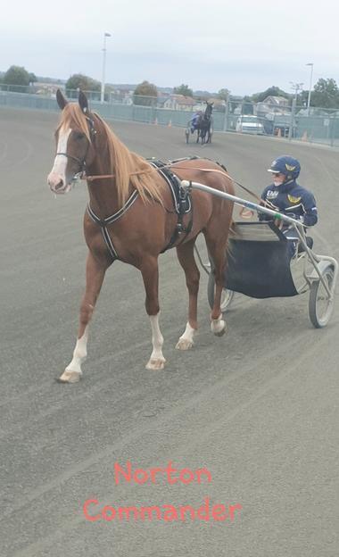 Norton-YOnkers_large Norton-YOnkers_large