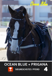 Ocean Blue Ocean Blue