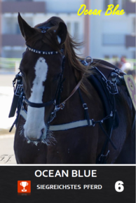 Ocean Blue Ocean Blue