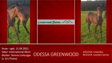 Odessa Greenwood