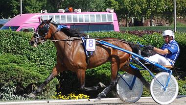 Oikarinen-April-Love-2 Oikarinen-April-Love-2