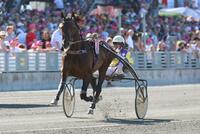 Orlando Jet in Solvalla Orlando Jet in Solvalla