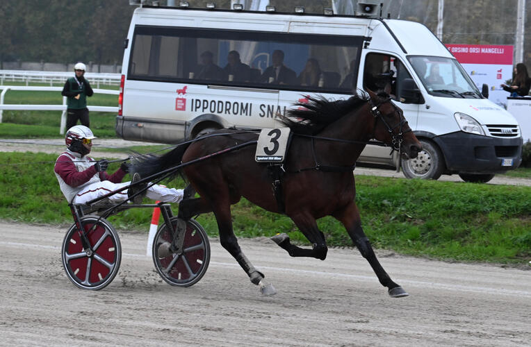 orsimangellibat12artikelbild-1280