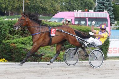 Othello Victory gewinnt das Charlie Mills-Memorial 2016