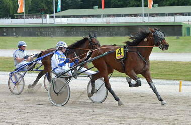 Pearl Stardust siegt im Buddenbrock-Trial 1