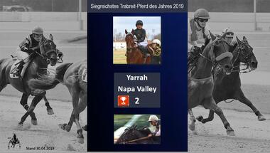 Pferd des Jahres 04.2019 Pferd des Jahres 04.2019