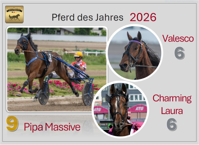 Pferd des Jahres
