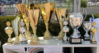 Pokale Pokale