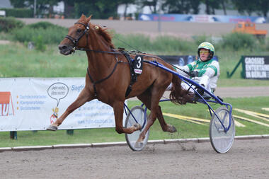 Prince of Persia siegt im Criterium 2017