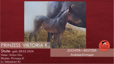 Prinzess Viktoria K